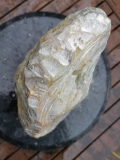 Speckstein; Indien; Einzelstck; Safari; 7.670 kg