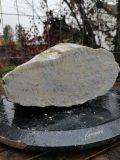 Speckstein; Indien; Einzelstck; Safari; 7.670 kg