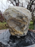 Speckstein; Einzelstck; aus Indien; Safari; 7.550 kg