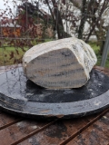 Speckstein; Einzelstck; aus Indien; Safari; 7.550 kg