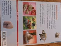 Kreativ Set; gebr. Buch; Werkzeug; Schleifmittel; Politur; Speckstein