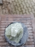 Speckstein; Einzelstck; aus Indien; Zitronengrn; 12.260 kg