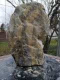 Speckstein; Einzelstck; aus Indien; Fantasie Grn Mix; 7.250 kg