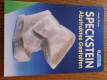 gebrauchtes Buch; Speckstein; abstraktes Gestalten, von Gisela Richter