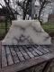 Alabaster, Scheibe, Transparent mit Maserungen, 11.830 kg